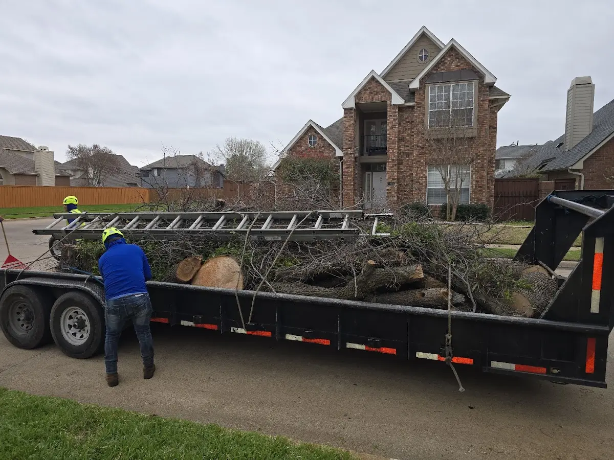 Expert Lot Clearing with proper safety equipment in Watrous